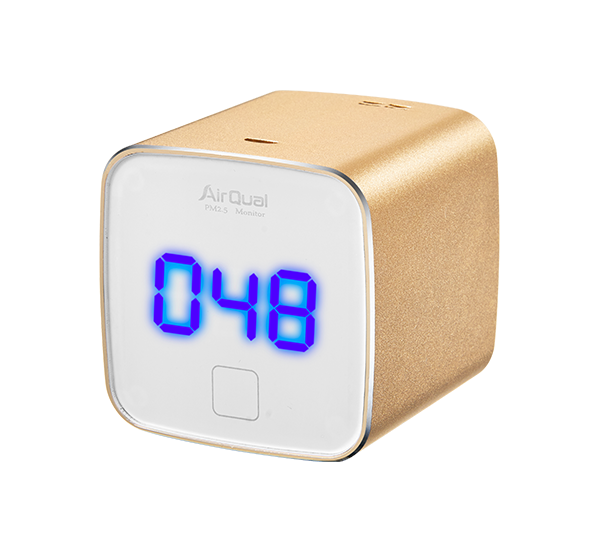 Air mass detector